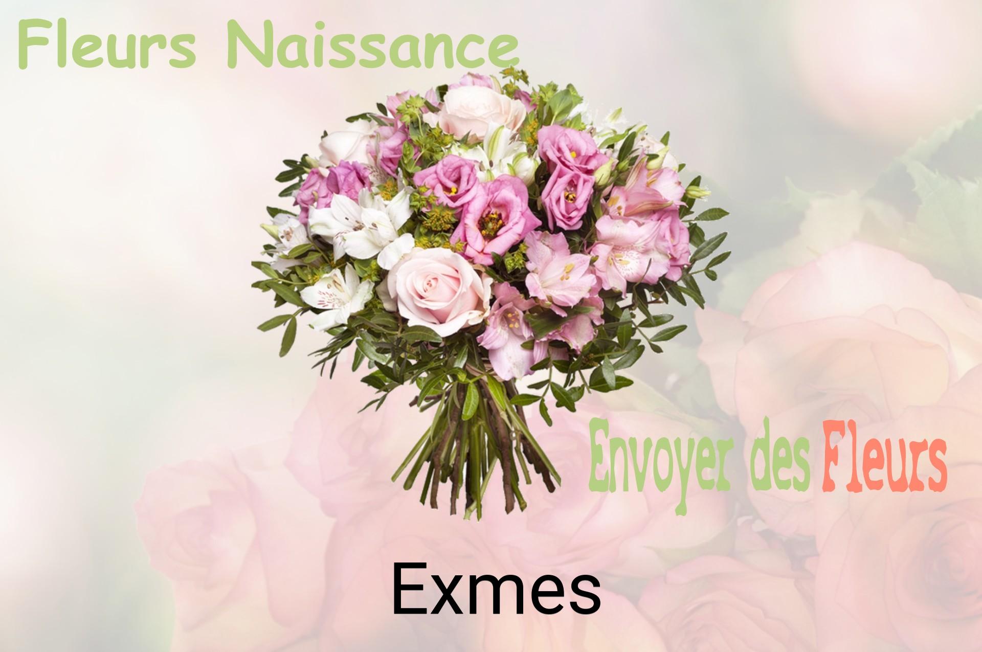 Bouquet de fleurs de naissance livré à Exmes
